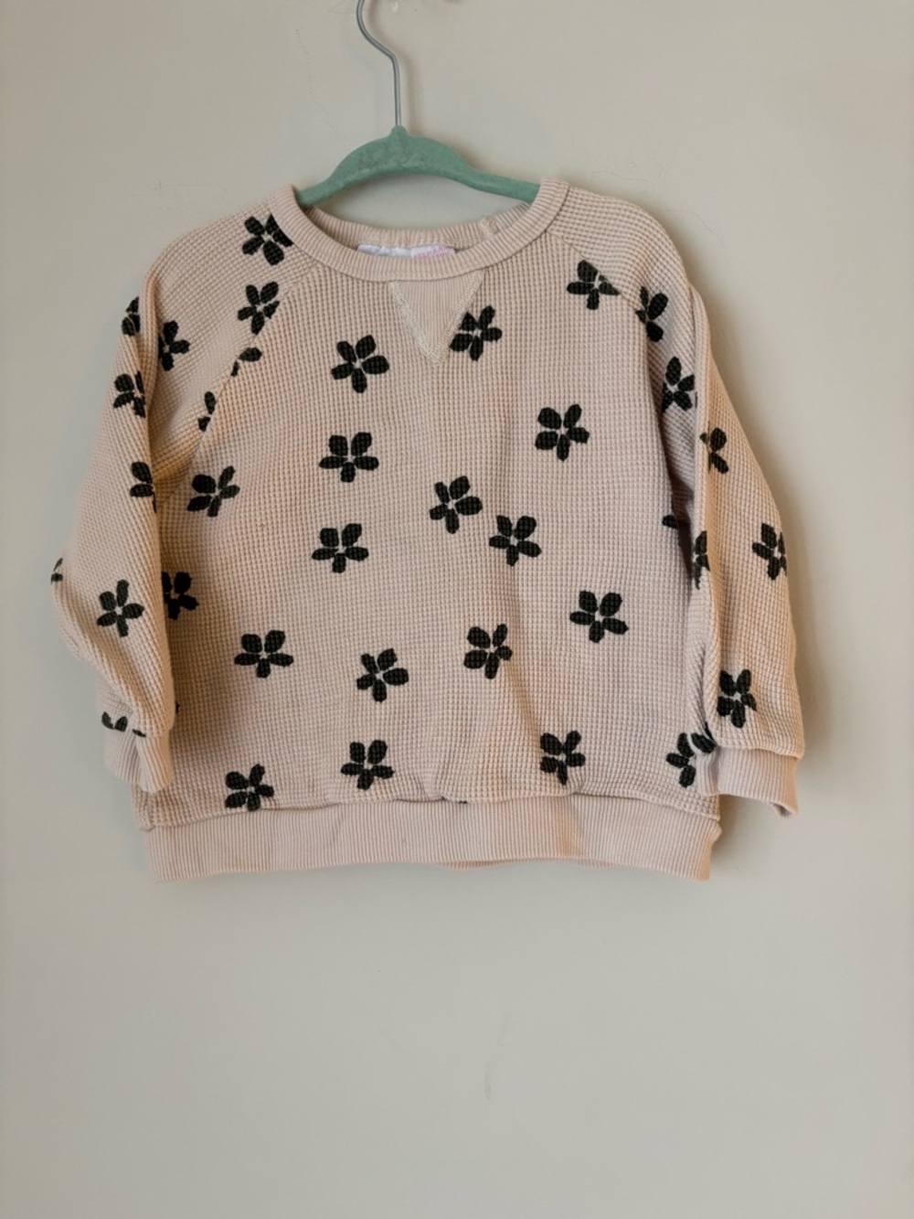 Zara Cream Crewneck waffle knit Sweater with Black Floral Print 18-24M